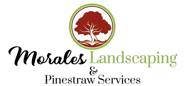 Morales Landscaping & Pinestraw Services Logo