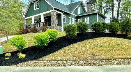 shrub and bush installation