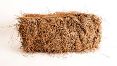 Pinestraw Bales For Sale