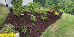 Mulch or Pinestraw