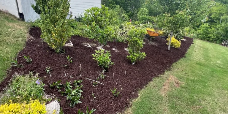 Mulch or Pinestraw