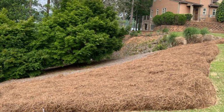 pinestraw installation blog